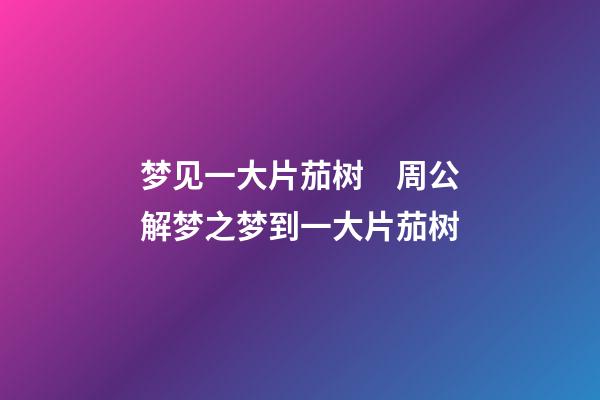 梦见一大片茄树　周公解梦之梦到一大片茄树